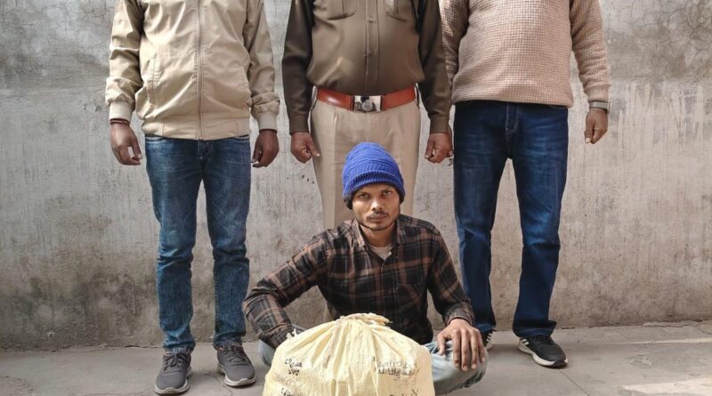 drug-smuggler-arrested-marijuana-seized