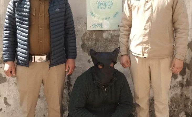 crime-arrest-drug-canabis