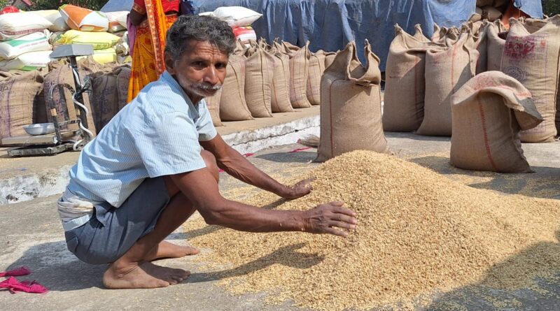 korba-agricultural-achievement