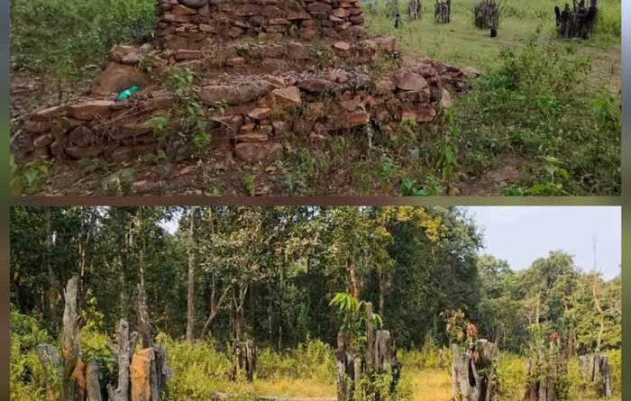 naxal-free-chandameta-remains-tree-gaurd