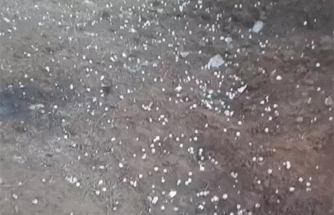 rwr-hailstorm-temperature-dro