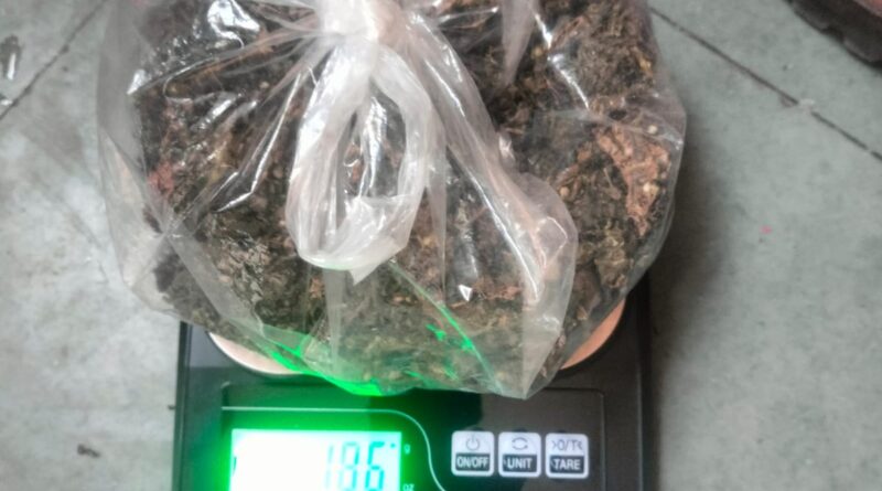 anti-venom-campaign-against