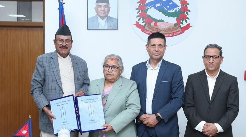 gen-z-report-execution-balen