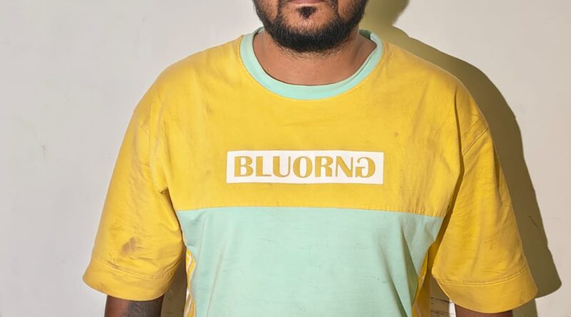 cyber-fraud-mastermind-arrest