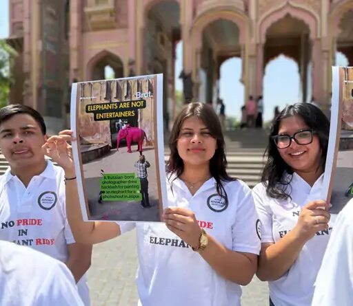 protest-save-the-elephant-day