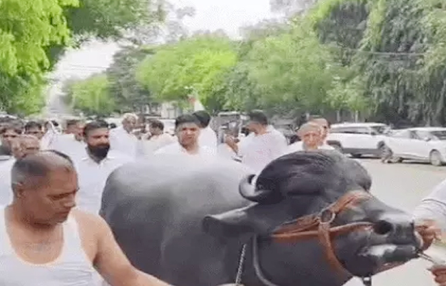 farmers-jat-community-protest