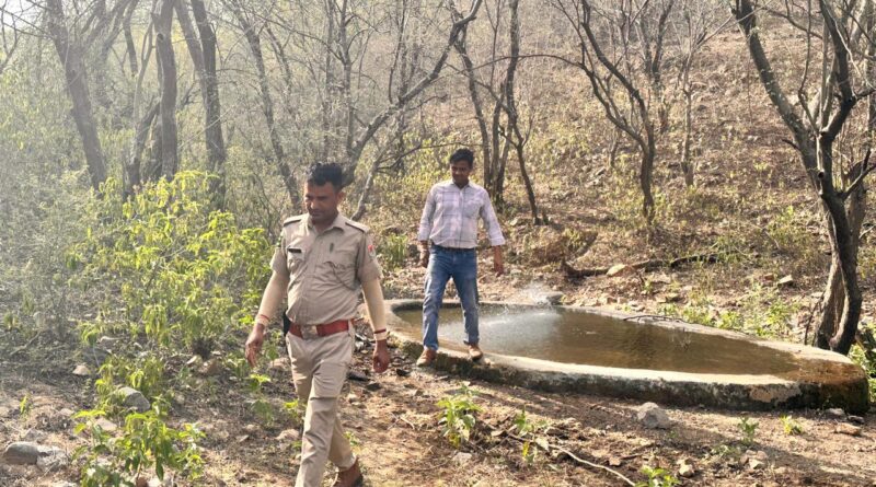 nahargarh-biological-park-complete