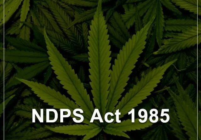 crime-ndps-act-one-arrested