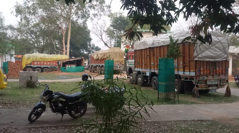 timber-smuggling-cg-fearless-smugglers