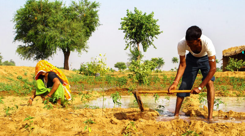 women-farmers-training
