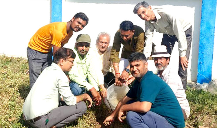 uk-plantation-world-earth-day