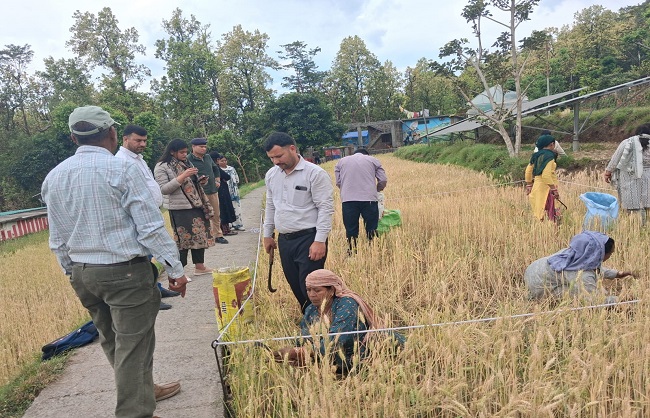 uk-crop-cutting-inspection-cdo