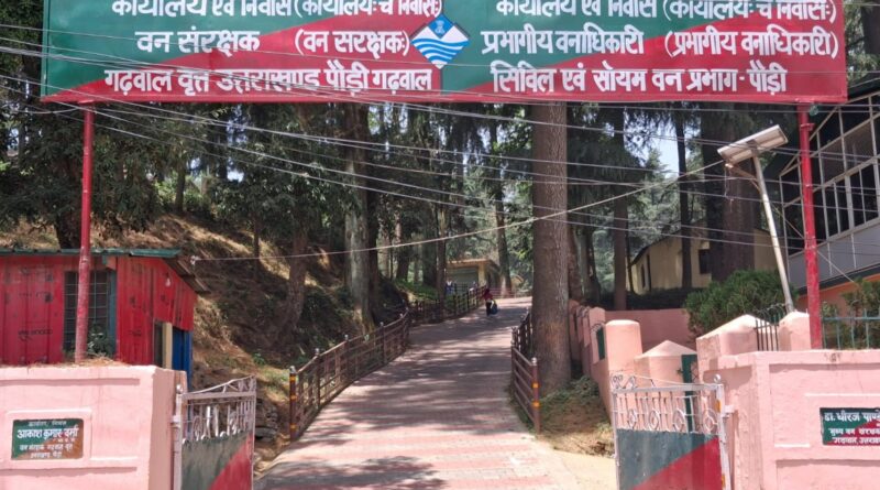 forest-department-took-action-