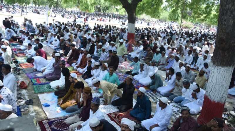 up-bakrid-celebrated-gomata-national-animal-