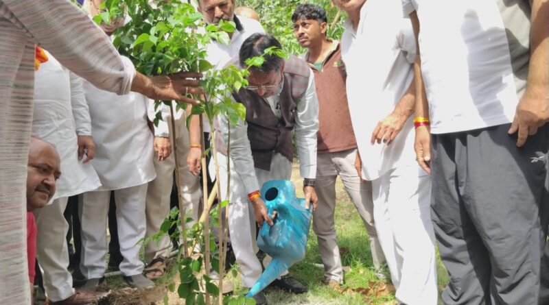 delhi-bjp-world-environment-day-ek-ped-maa-ke-naam