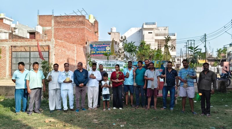 up-auraiya-plantation