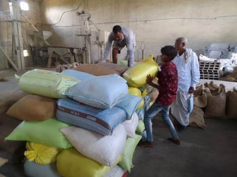 crop-change-in-lailunga-agricultural-innovation