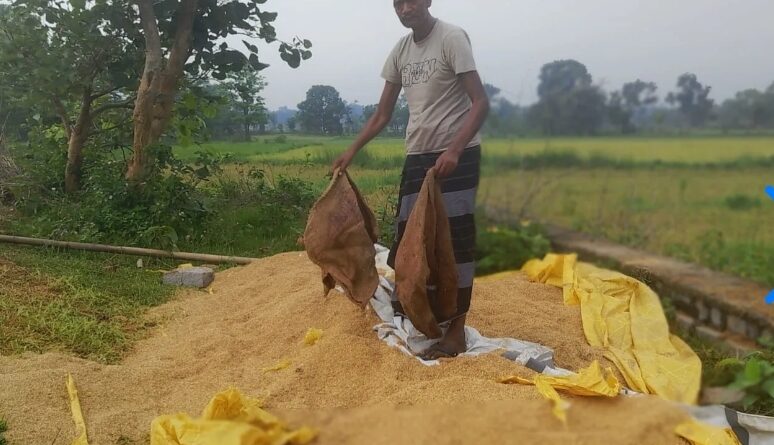 jh-rampage-by-a-herd-of-elephants