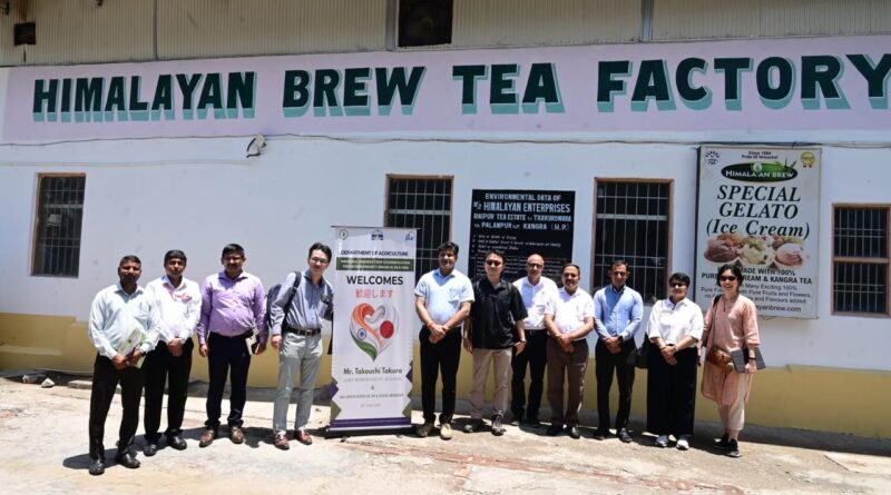 kangra-jica-team-visit-tea