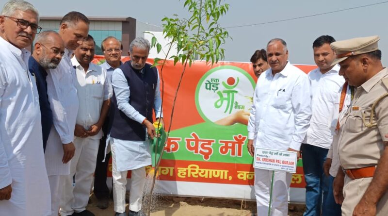 palwal-modi-governments-12-y