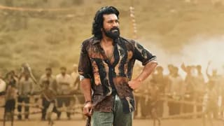 ent-film-peddi-bo-collection