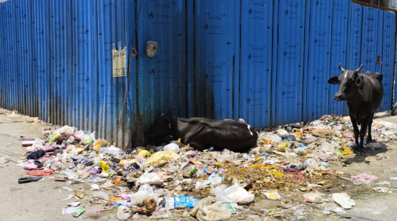 jaipur-sanitation-workers-protest