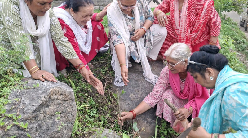 bhimakali-mandir-plantation-k
