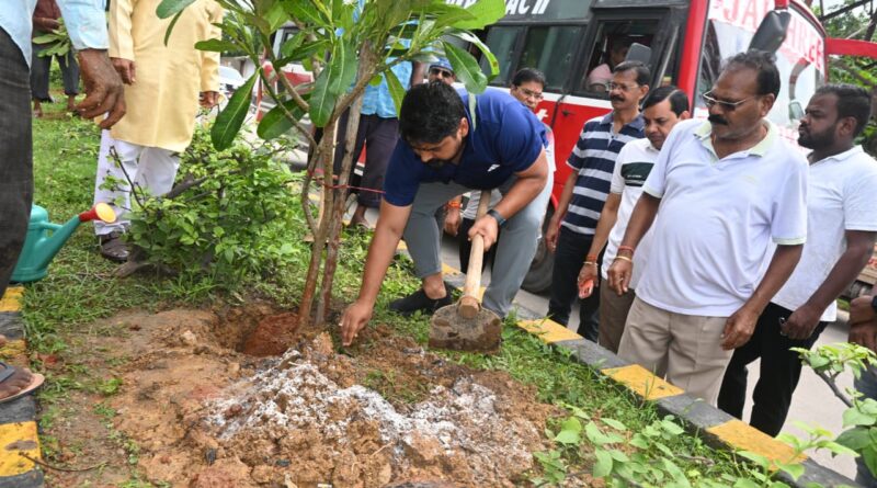 tree-plantation-carried-out-on-main-road-