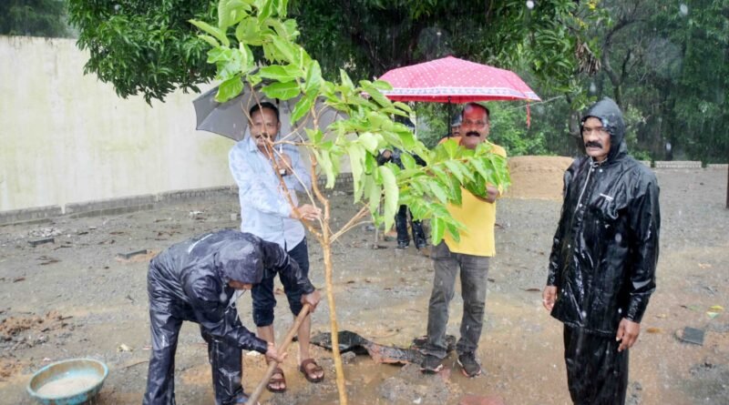 appu-garden-road-plantation-tree-kanker