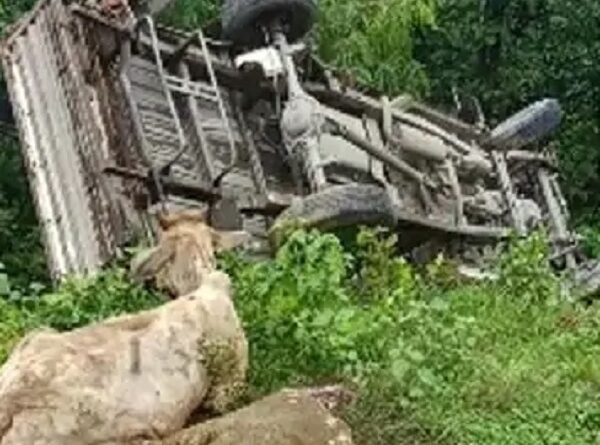cattel-van-accident-