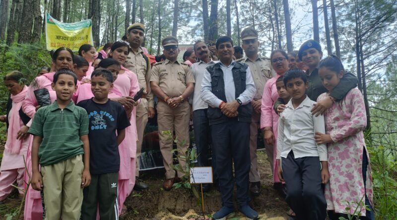 plantations-mazhan-mm-chlag-ma