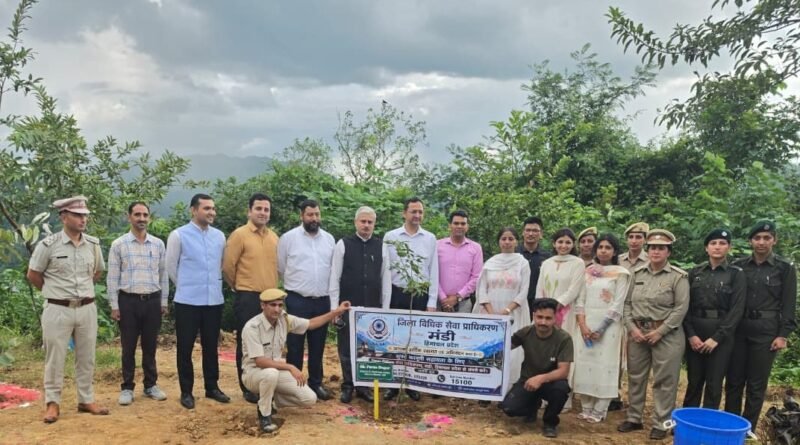 plantion-distt-court-dhangshi-