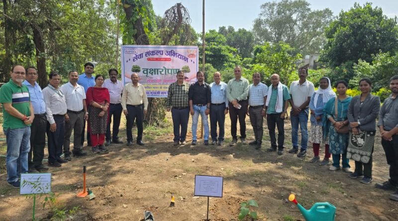 plantation-drive-held-at-dspmt