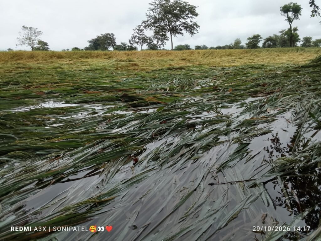 arnab-cyclone-crop-loss-insurance-claim